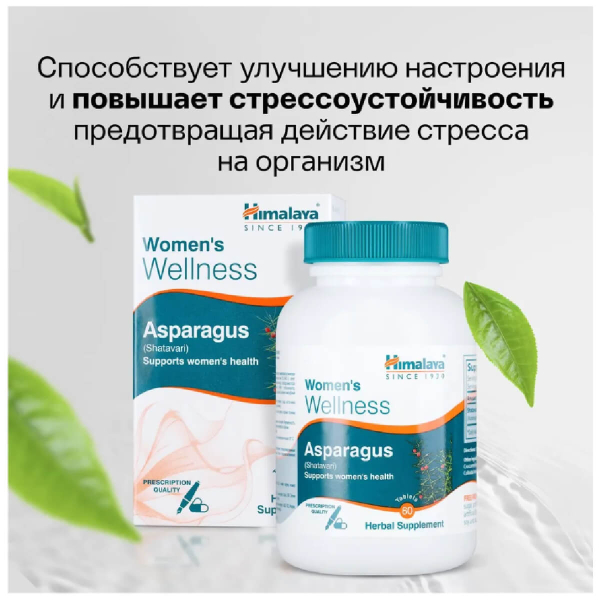 Asparagus (спаржа) для женского здоровья, 60 таблеток, HIMALAYA - фото 6