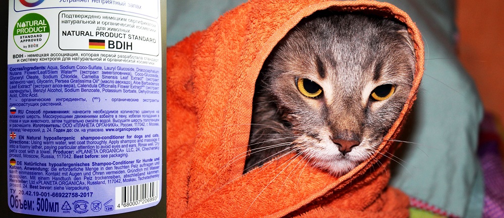 Современные натуральные продукты с безопасным гипоаллергенным составом от бренда Organic Pets прекрасно подходят для кошек
