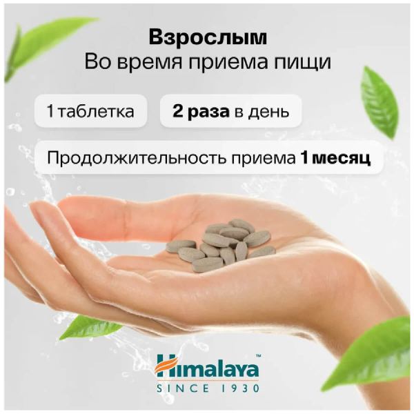 Indian Gooseberry (эмблика) для иммунитета, антиоксидант, 60 таблеток, HIMALAYA - фото 10