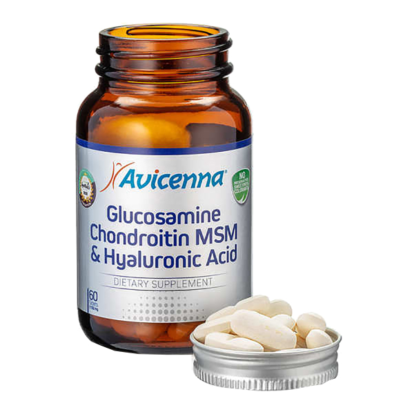 Купить Глюкозамин Хондроитин MSM, 60 таблеток, Avicenna