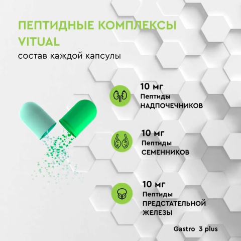 Комплекс пептидов Gastro 3 Plus, 200 мг, 60 капсул, Vitual Laboratories