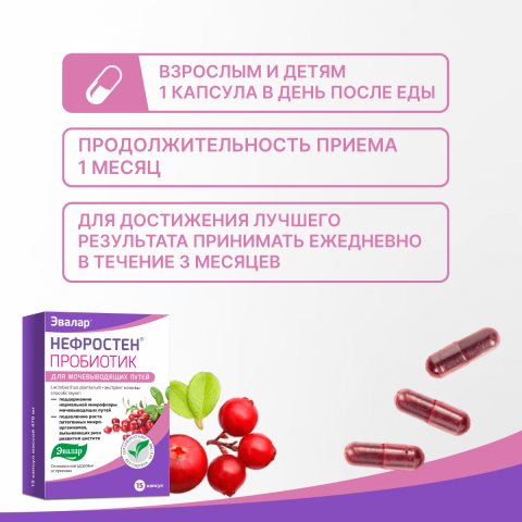 Нефростен пробиотик для мочевыводящих путей, 470 мг, 15 капсул, Эвалар